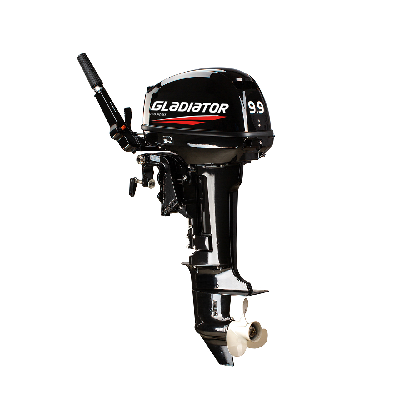 ЛОДОЧНЫЙ МОТОР GLADIATOR G9.9FHS в Жуковском