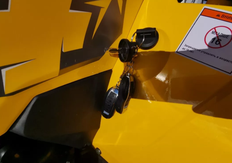 Квадроцикл MOTOLAND (МОТОЛЕНД) VOX200 WILD TRACK X PRO (баланс. вал) в Жуковском