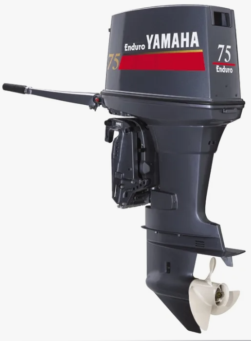 Лодочный мотор YAMAHA E75BMHDL в Жуковском