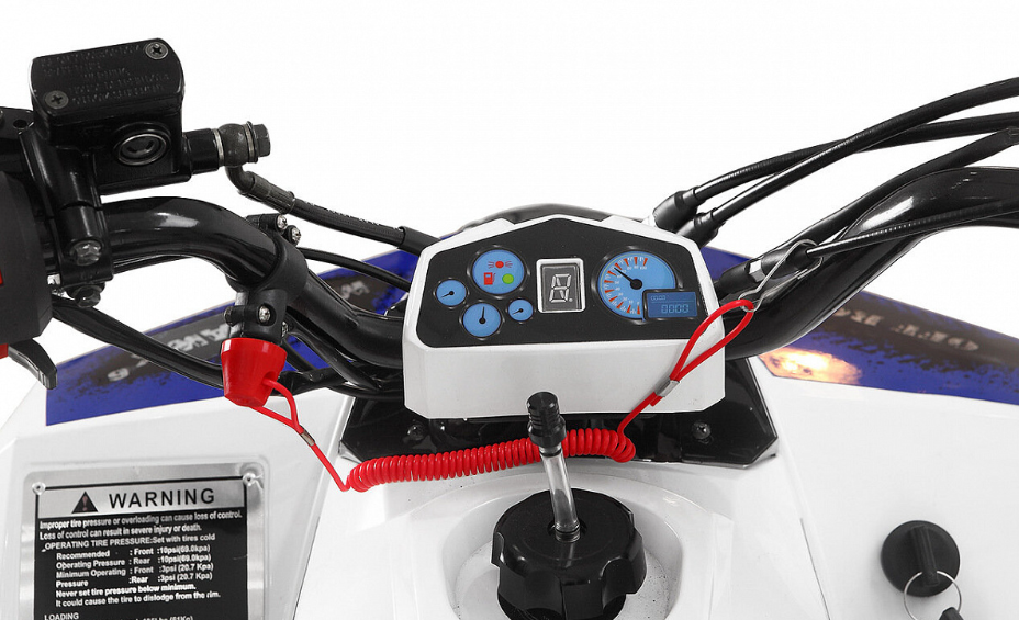 Квадроцикл Yacota Raposa 110 в Жуковском