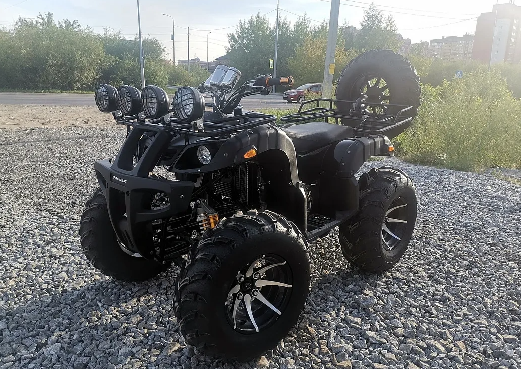 Квадроцикл PROMAX LEO 300 Max (кардан) в Жуковском
