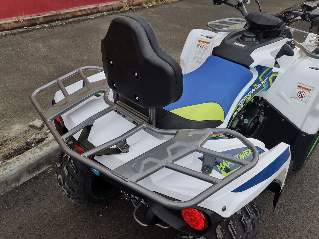 Квадроцикл PROMAX RENEGADE 280 LUX (2025) в Жуковском