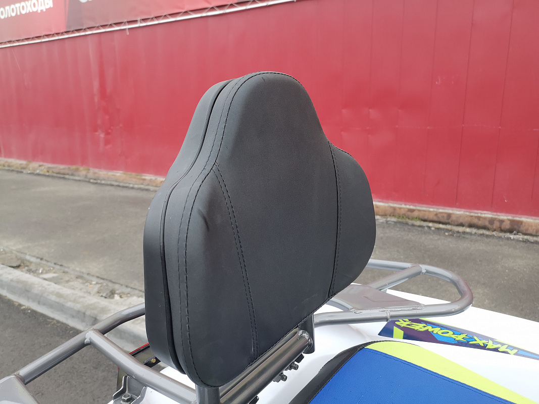 Квадроцикл PROMAX RENEGADE 280 LUX (2025) в Жуковском