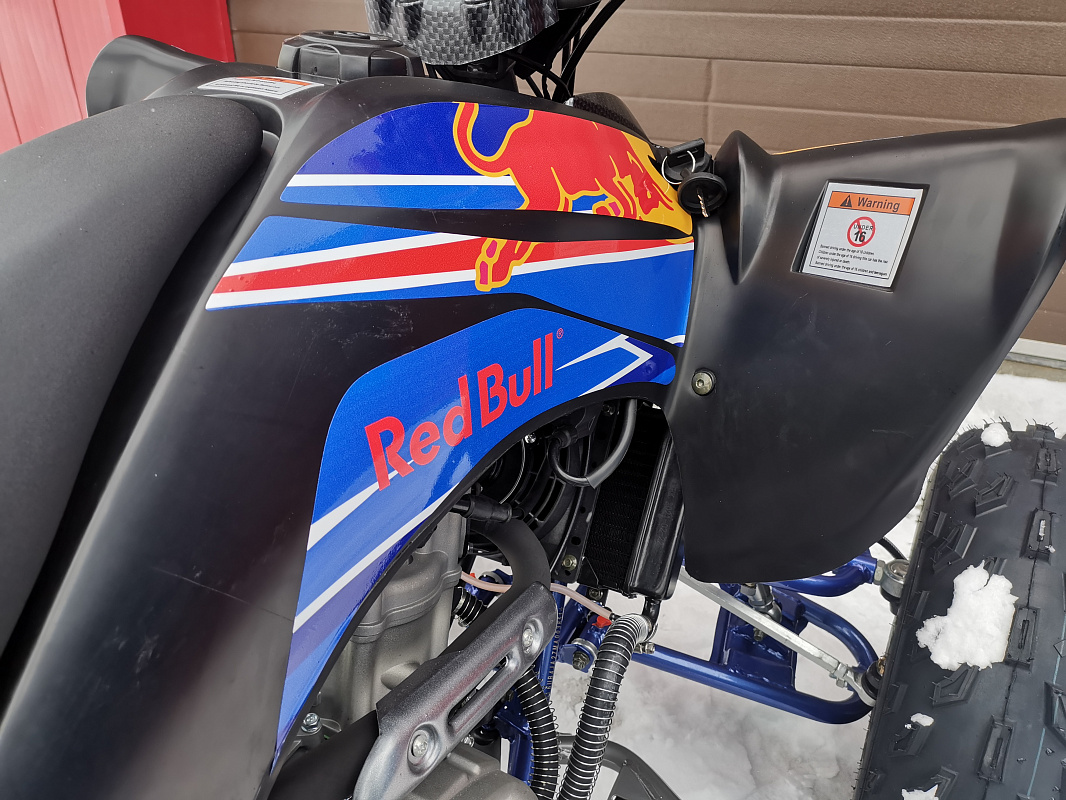 Квадроцикл PROMAX RAPTOR 300 NEW RedBull в Жуковском