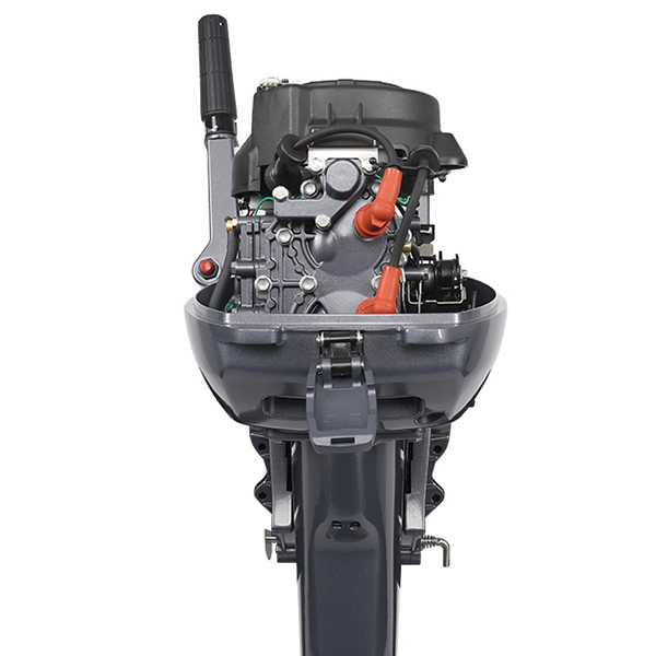 ЛОДОЧНЫЙ МОТОР ALLFA CG Т9,9 Limit в Жуковском