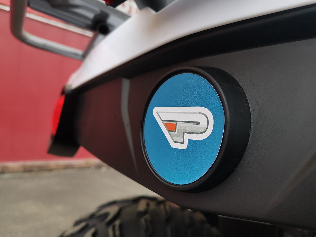 Квадроцикл PROMAX RENEGADE 280 LUX (2025) в Жуковском