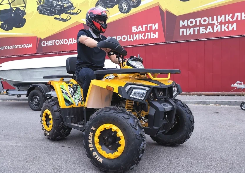 Квадроцикл PROMAX STORM 280 LUX в Жуковском