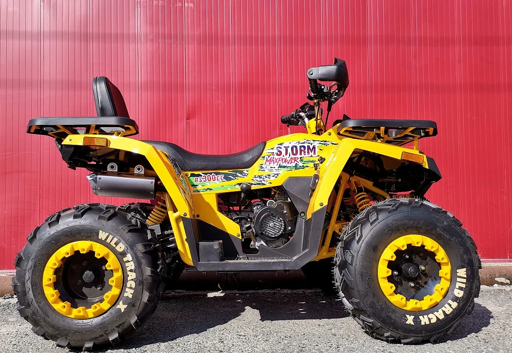 Квадроцикл PROMAX STORM 280 LUX в Жуковском