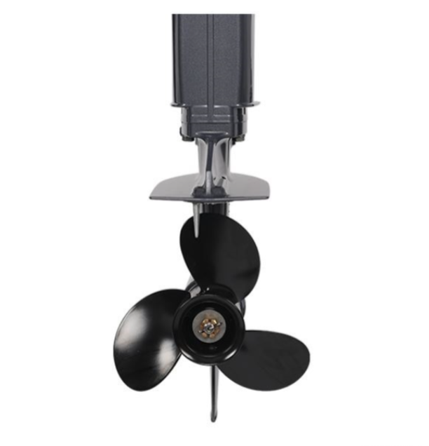 Лодочный мотор ALLFA CG Т40FW S в Жуковском