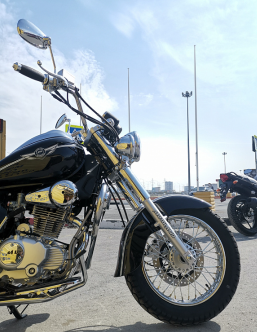 Мотоцикл MOTOLAND (МОТОЛЕНД) WOLF 250 в Жуковском