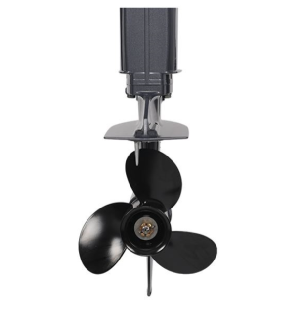 Лодочный мотор ALLFA CG Т40FWT S в Жуковском