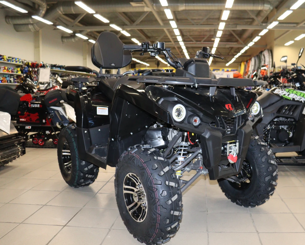 Квадроцикл PROMAX RENEGADE 300 LONG WINCH PRO (2025) в Жуковском