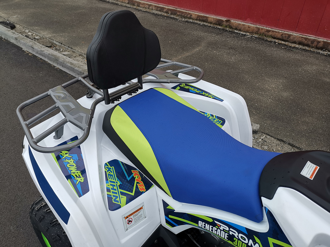 Квадроцикл PROMAX RENEGADE 280 LUX (2025) в Жуковском