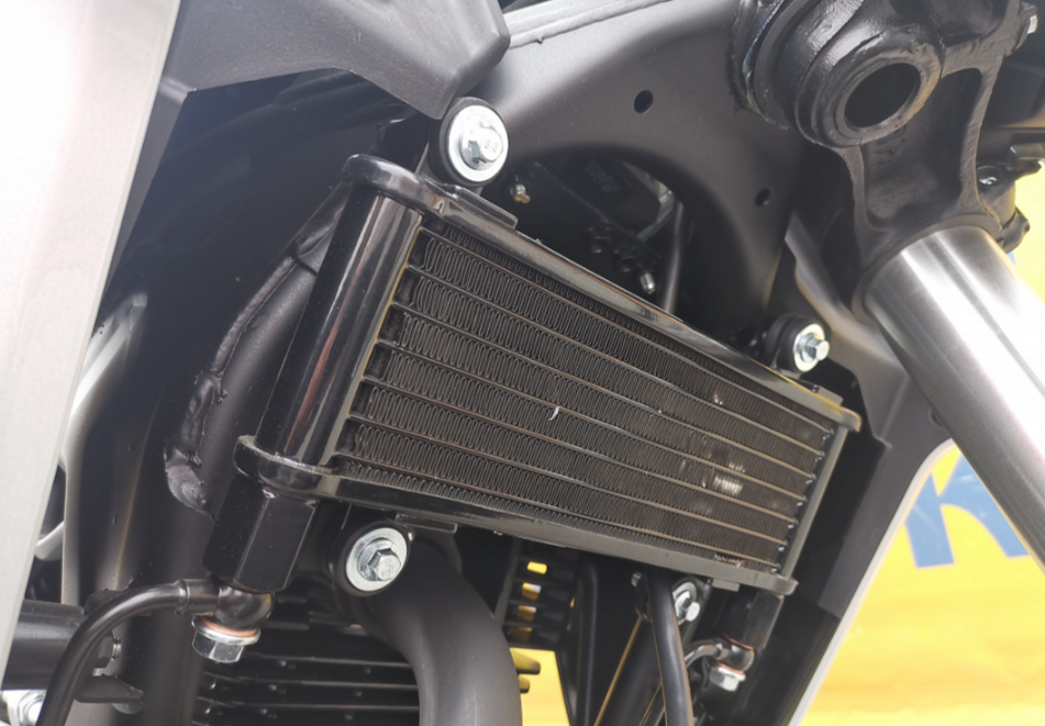 Мотоцикл MOTOLAND (МОТОЛЕНД) 250 CB250 (172FMM-5/PR250) (2022 г.) в Жуковском