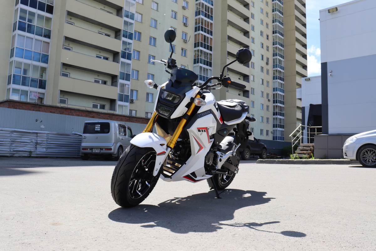 Мотоцикл PROMAX STRYKER 200(49) 2.0 в Жуковском