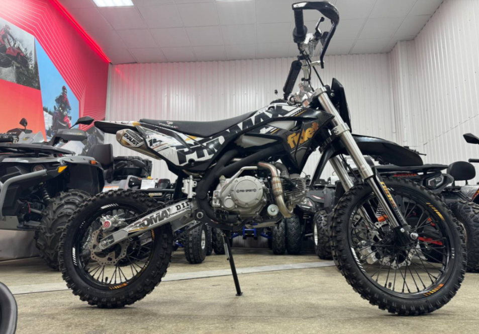 Мотоцикл (питбайк) PROMAX FIDET (ФАЙДЕТ) 145E PRO 17/14 в Жуковском