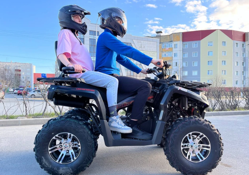 Квадроцикл PROMAX RENEGADE 300 LONG WINCH PRO (2025) в Жуковском