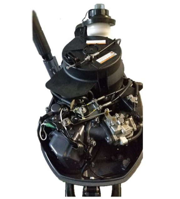 Лодочный мотор ALLFA CG F6 в Жуковском