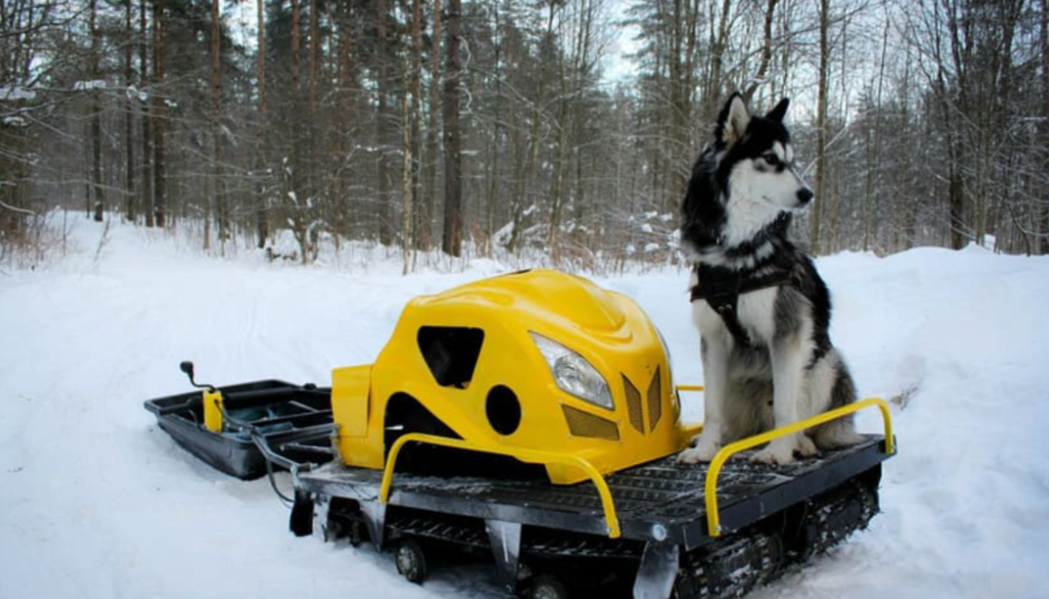 Мотобуксировщик LEBEDEV MOTORS ВОЛКОДАВ POWER V13 в Жуковском