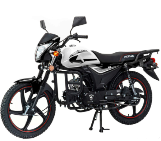 Мопед MOTOLAND (МОТОЛЕНД) Альфа RS 11 (LM48-B) в Жуковском