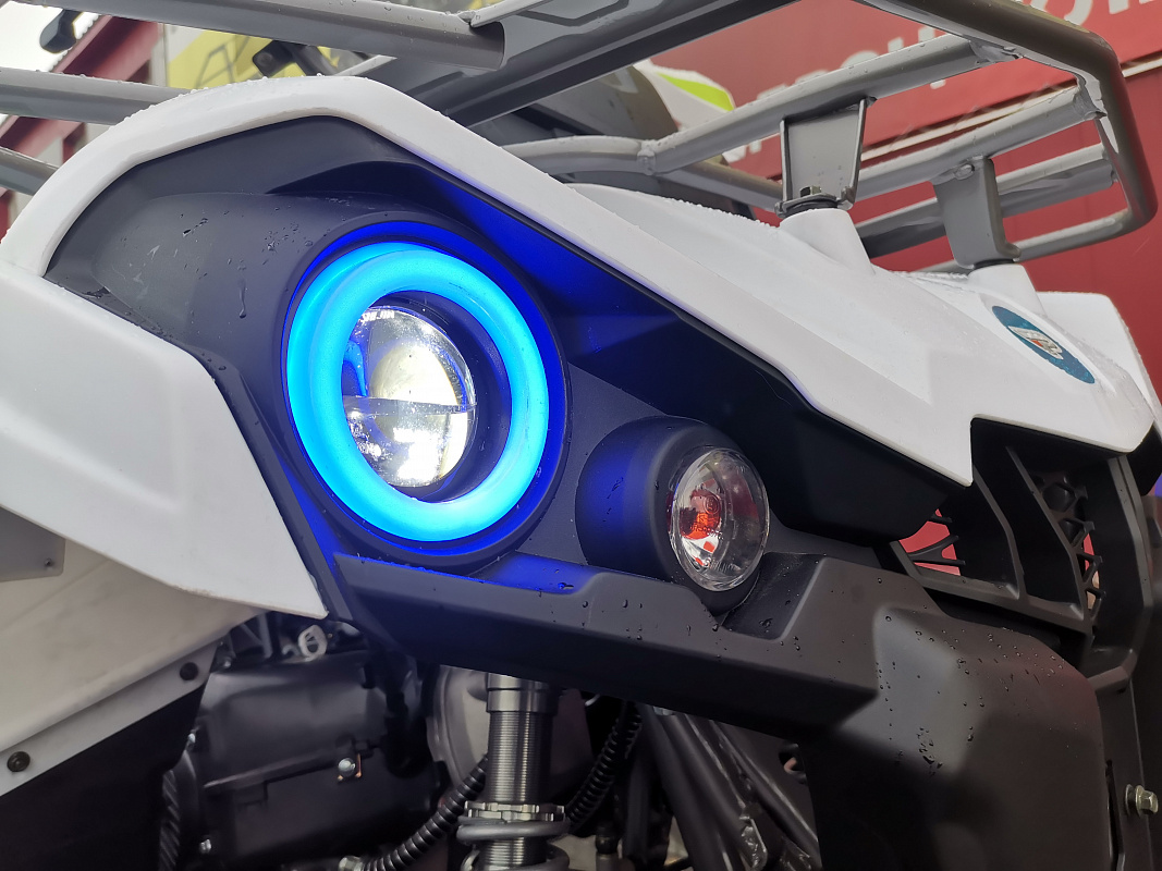 Квадроцикл PROMAX RENEGADE 280 LUX (2025) в Жуковском