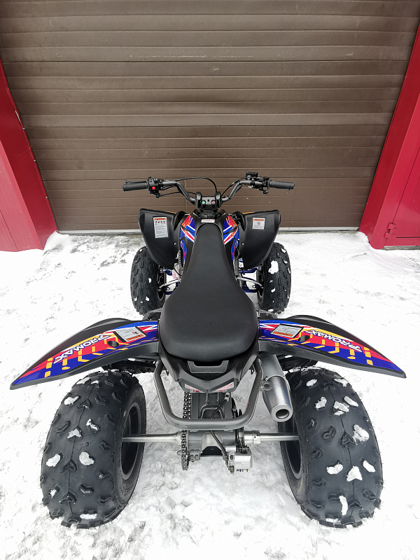 Квадроцикл PROMAX RAPTOR 300 NEW RedBull в Жуковском