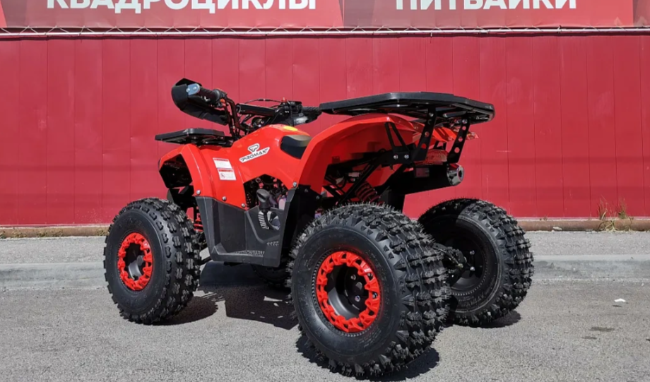 Квадроцикл PROMAX WILD 175 BASIC в Жуковском