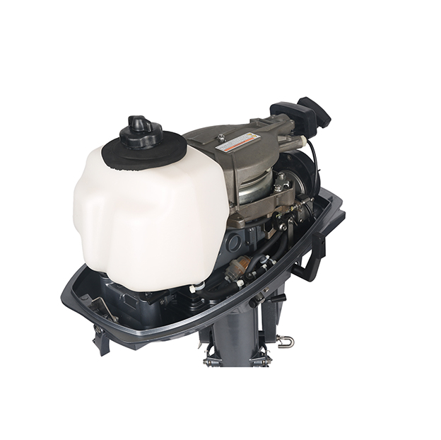 ЛОДОЧНЫЙ МОТОР ALLFA CG T5 в Жуковском