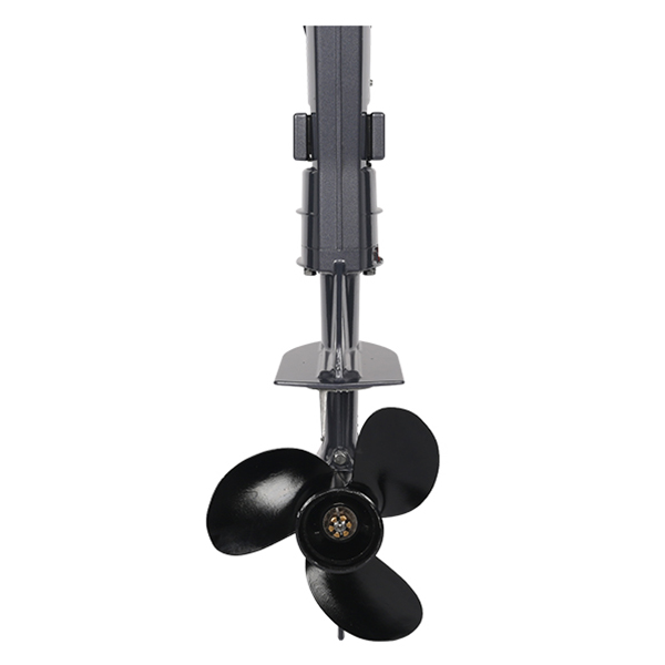 ЛОДОЧНЫЙ МОТОР ALLFA CG T5 в Жуковском