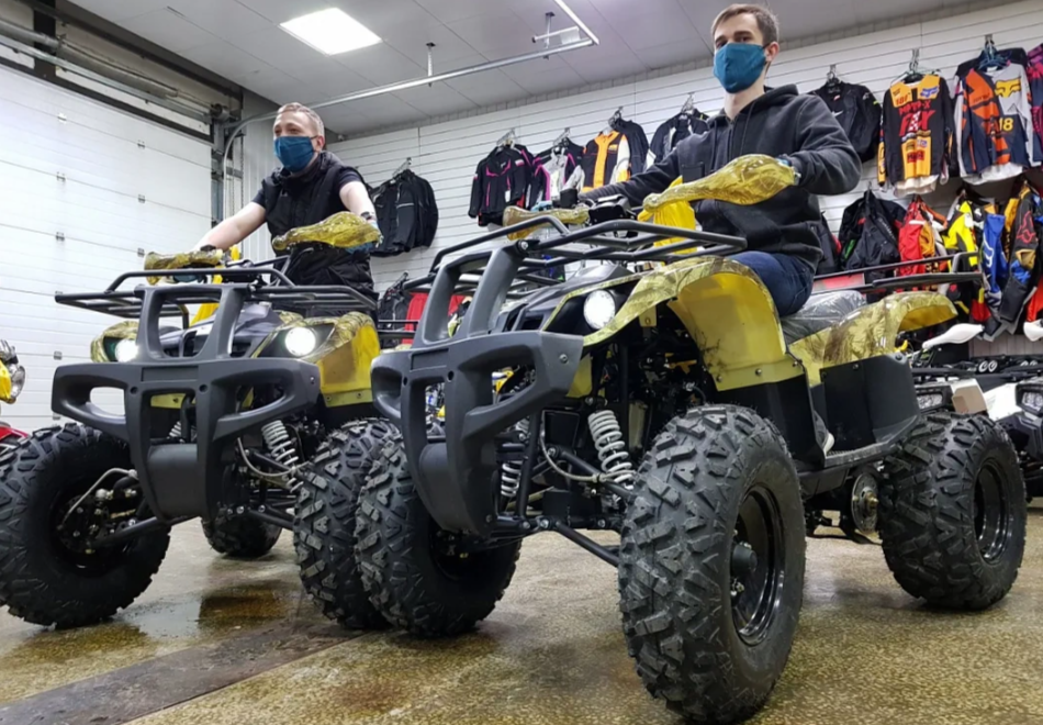 Квадроцикл PROMAX ATV 250 (2025) в Жуковском