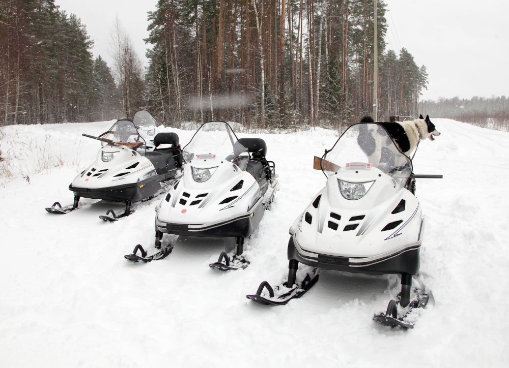 СНЕГОХОД РМ ТАЙГА ВАРЯГ 550 V в Жуковском