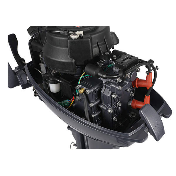 ЛОДОЧНЫЙ МОТОР ALLFA CG Т9,9 Limit в Жуковском