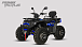 Квадроцикл PROMAX TAURUS 300 MAX-PRO LONG в Жуковском