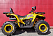 Квадроцикл PROMAX STORM 280 LUX в Жуковском