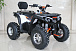 Квадроцикл GBM STORMRIDER 320 PREMIUM в Жуковском