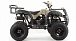 Квадроцикл MOTOLAND (МОТОЛЕНД) 200 ALL ROAD в Жуковском