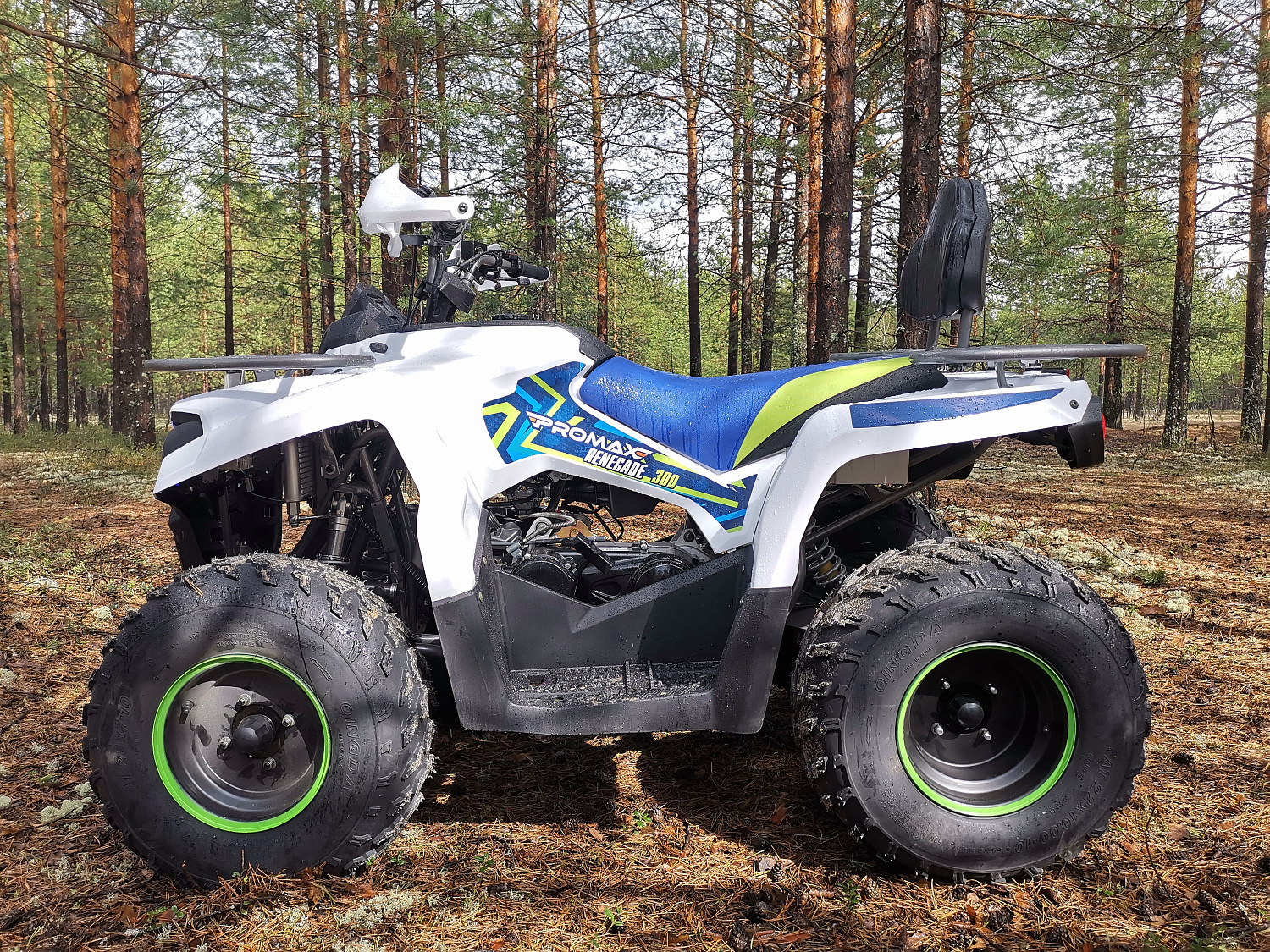 Квадроцикл PROMAX RENEGADE 280 (2025) в Жуковском