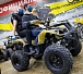 Квадроцикл PROMAX ATV 250 (2025) в Жуковском