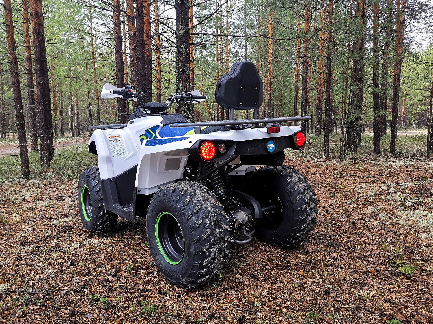 Квадроцикл PROMAX RENEGADE 280 (2025) в Жуковском