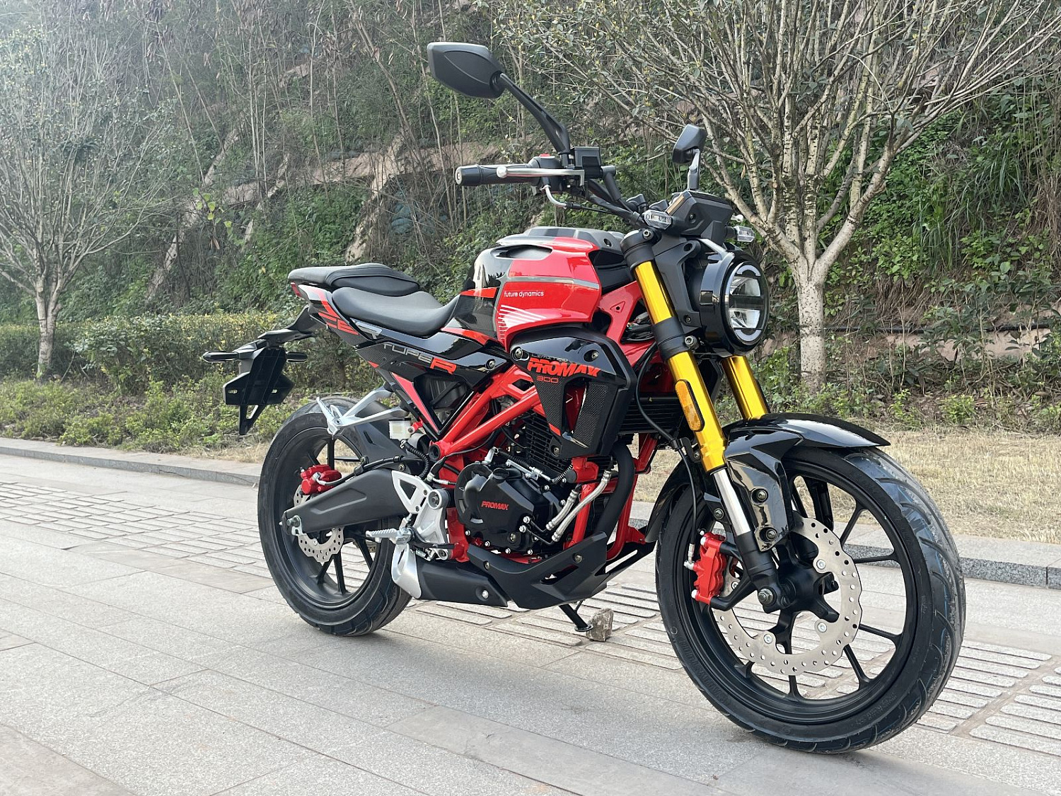 Мотоцикл PROMAX CB300RL (4V, 6G) в Жуковском