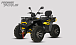 Квадроцикл PROMAX TAURUS 300 MAX-PRO LONG в Жуковском